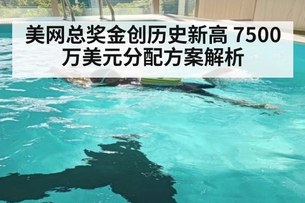 美网总奖金创历史新高 7500万美元分配方案解析